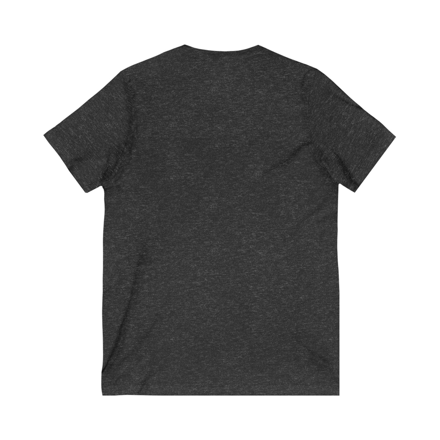 Vintage License Plate V-Neck Tee, Unisex Graphic T-Shirt, Casual Travel Apparel, Gifts for Travelers, Summer Outfit