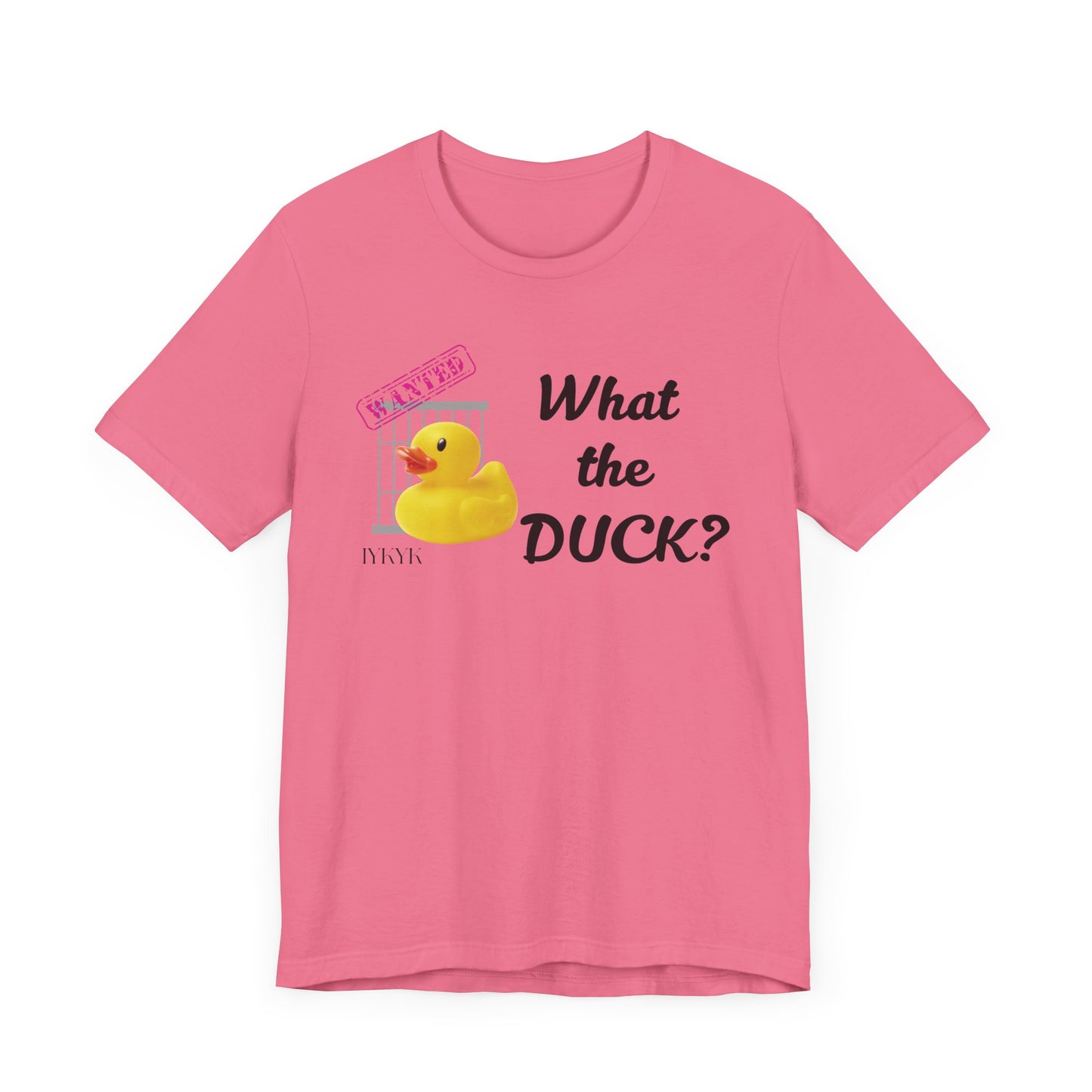 What the Duck | Attorney Melanie Little | Karen Read T-Shirt | Gift Idea |  Unisex - Men and Women Tee | Funny T-Shirt