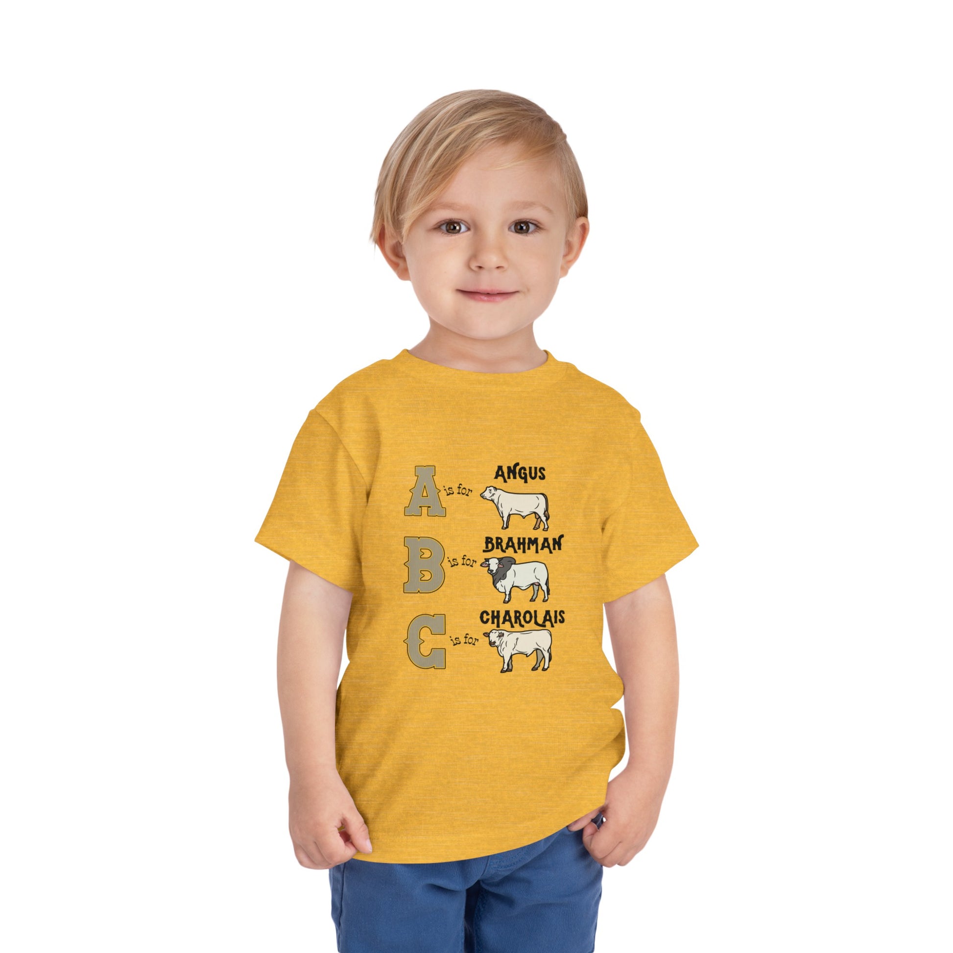 Comfy southern toddler tee stating 'A is for Angus. B is for Brahman. C is for Charolais.' in color heather yellow gold
