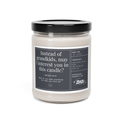 Instead of Grandkids, May I Interest You in This Candle | You Have Me | Scented Soy Candle, 9oz